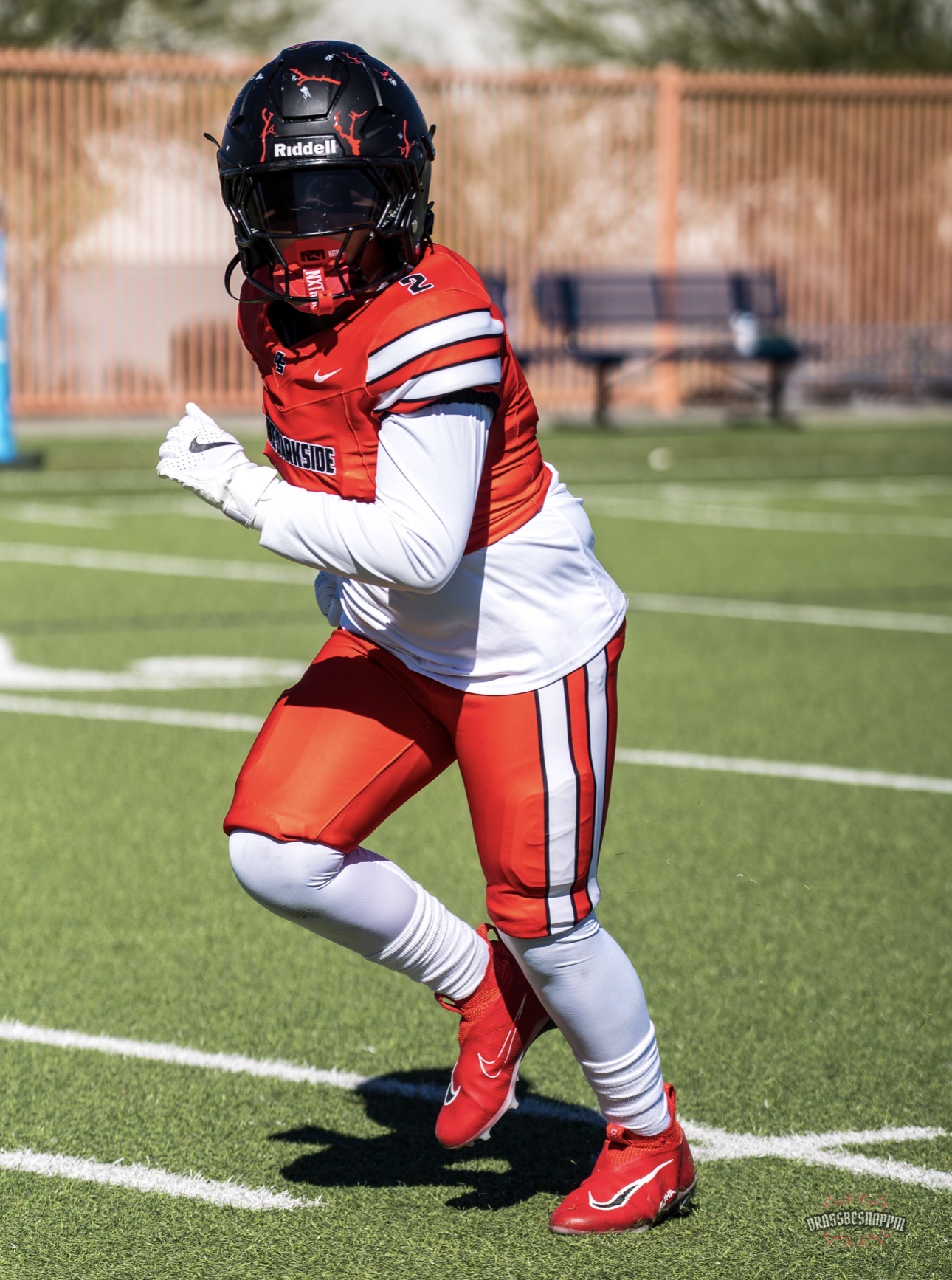 Zai Wilkins